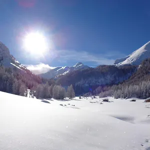 https://hotel-albe.hotelinveneto.com
